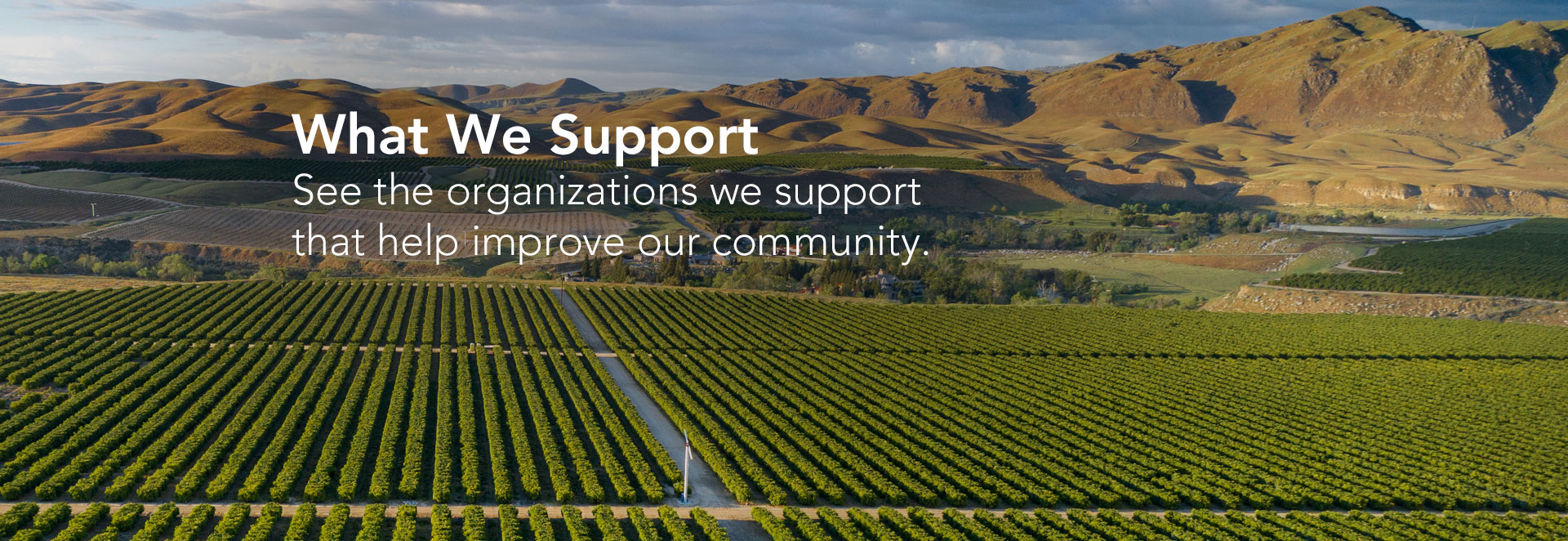 Photo of Bakersfield with text about what we support