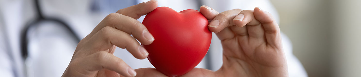 Medical provider holding plastic heart in hand